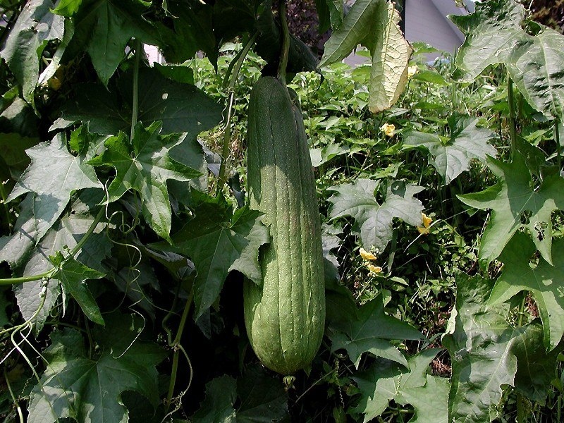 ����� - ����� � �������